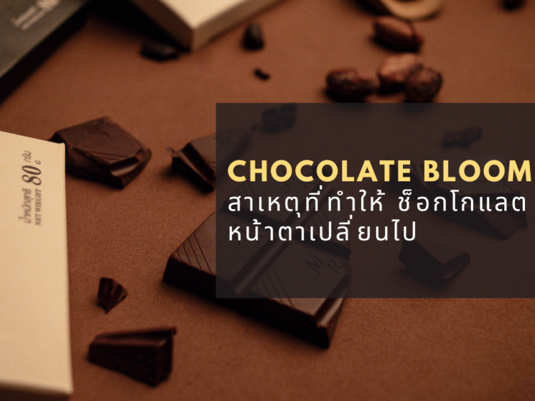 Chocolate Bloom